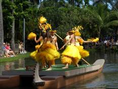 03_Hawaii_2 241.jpg (57188 bytes)